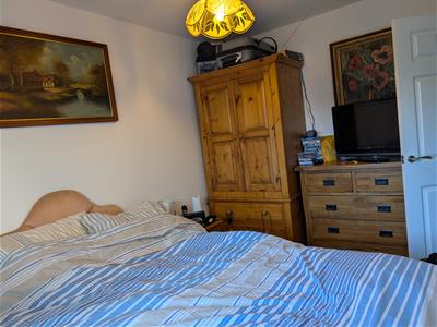 Picture 13
